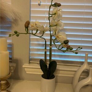 Kirklands White and Green Faux Orchid Arrangement